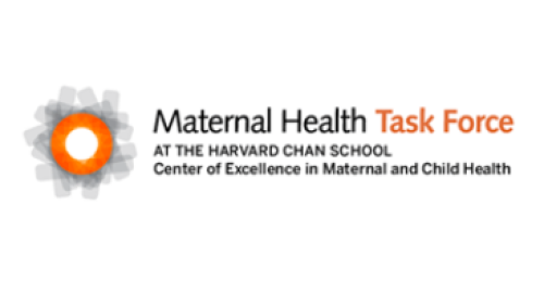 maternal health task force
